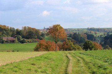 Fototapeta na wymiar Herbstlandschaft, Felder,Wiese
