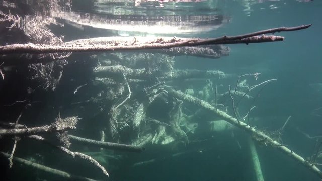 Underwater landscape in sunlight in water of Lena River in Siberia of Russia. Unique relaxation video about nature.