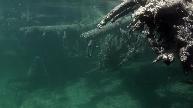 Underwater landscape in sunlight in water of Lena River in Siberia of Russia. Unique relaxation video about nature.