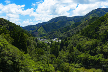 Fototapeta na wymiar 初夏の山村風景