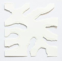 White ripped paper texture background.