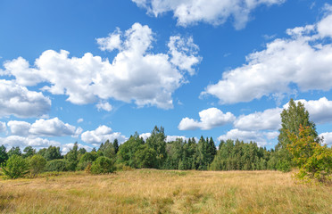 Landscape with beautiful clouds, trees, meadow