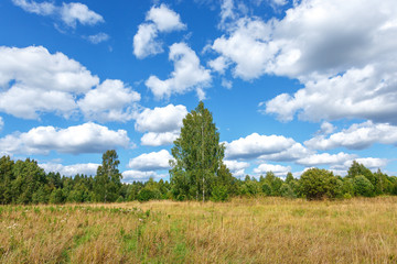 Landscape with beautiful clouds, trees, meadow
