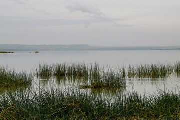 Landscape with lake and sky, Lake Eleemtaita, Naivasha, Kenya