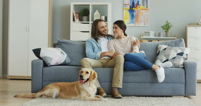 Portrait shot of the Caucasian just-married couple sitting in hugs on the couch at home and speaking while their cute labrador dog lying on the floor.