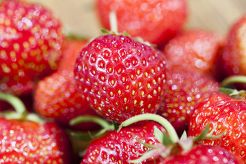 red berries of strawberry