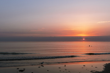 Sunset over the Northsea with seagull and swimmer in Denmark