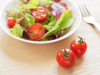 ベビーリーフのサラダ