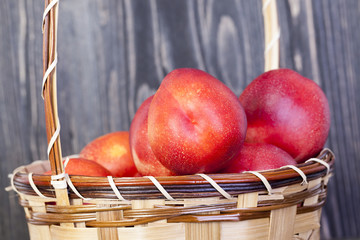 red ripe hybrids