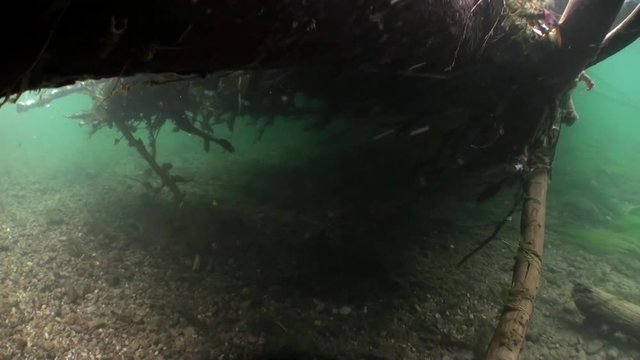 Underwater landscape in sunlight in water of Lena River in Siberia of Russia. Unique relaxation video about nature.