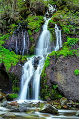 Fototapeta na wymiar 新緑の吐竜の滝