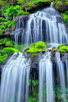 新緑の吐竜の滝 © T.Hasebe