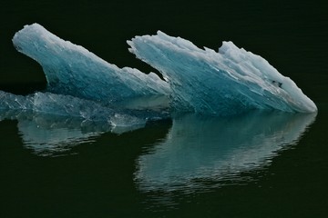 a chunk of glacier ice floats in the waters of tracy arm fiord on the coast of southeast alaska