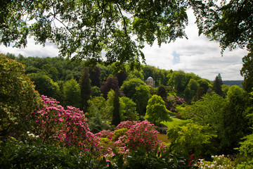 Panorama of a vast English EstTe Garden with blooming rhododendrons 