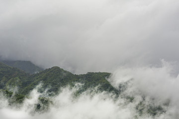 Morning landscape view.