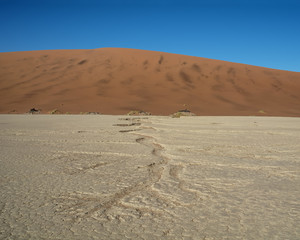 Dead Vlei Landscape