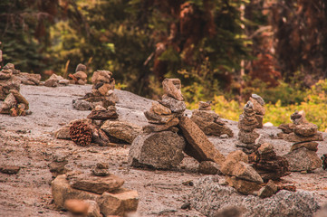 A tranquil forest rock garden