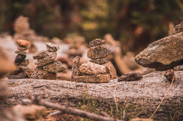 A tranquil forest rock garden