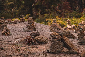 A tranquil forest rock garden