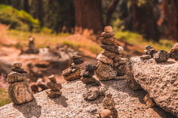 A tranquil forest rock garden