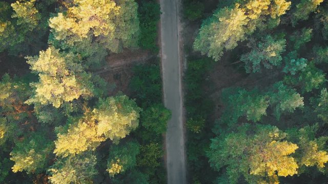 Top view Flying over Old Patched Forest Road. Moving green trees of dense woods growing both sides. Aerial view from the Drone to the Road in a Pine Forest. Country road in wood.