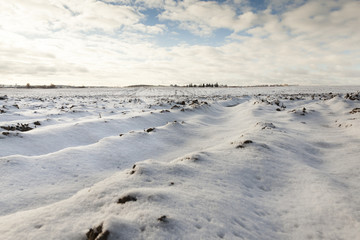 plowed field under snow