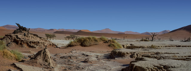 Dead Vlei Landscape