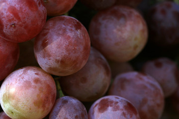 Bunch of grapes hanging on a brick wall an old, country house. An element of outdoor decoration on the occasion of a harvest festival at the end of summer.