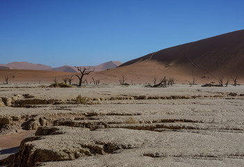 Dead Vlei Landscape