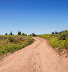 Spring Landscape