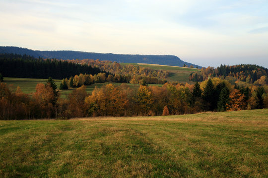 Autumn meadow and forest in small village Pasterka in Stolowe Mountains, Table Mountains, National Park in Poland. Wilderness area with refugium of animals.
