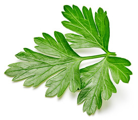 Parsley isolated on white