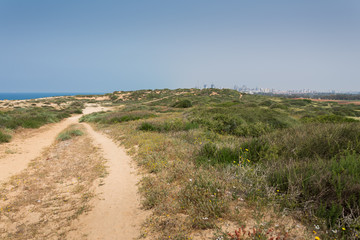 At Sharon Beach National Park, Sharon area