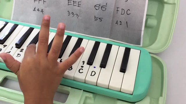 Melodion 이미지 찾아보기 142 스톡 사진, 벡터 및 비디오 Adobe Stock