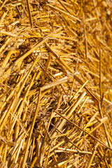 details of straw