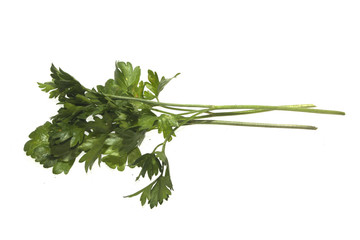 parsley isolated on white background