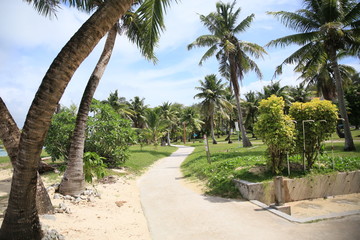 Fototapeta premium Cocos Island, Guam