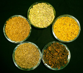 spices 