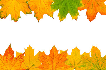 Background of autumn leaves isolated on white background.
