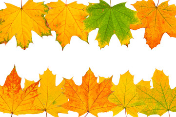Background of autumn leaves isolated on white background.
