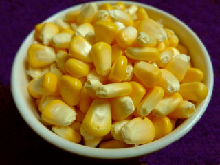 corn maize food healthy nature