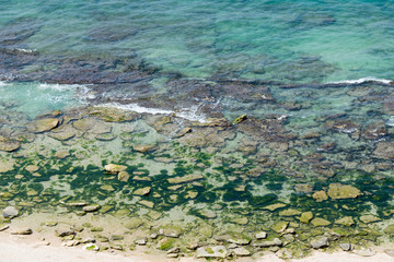 At Sharon Beach National Park, Sharon area