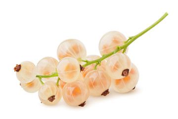 white currant isolated on white background, clipping path, full depth of field