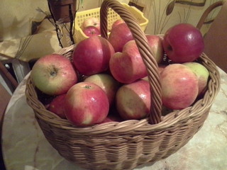 Яблоки, урожай