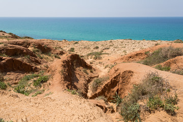 At Sharon Beach National Park, Sharon area