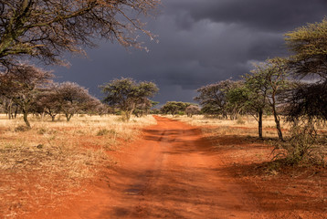 Fototapeta premium Stormy Landscape