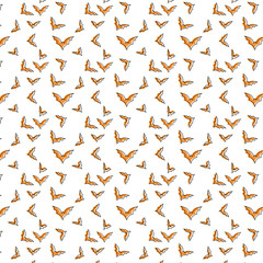 Halloween Pattern , Bat Seamless isolated on white background, Vector illustration