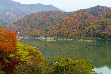 Lake in autumn
