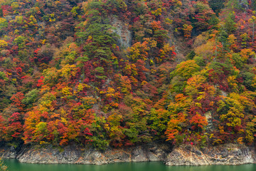 Beautiful lake in Autumn