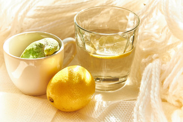 still life with dishes and lemon